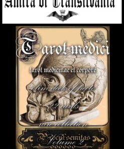 Chirurgia antica , medicina e anatomia vintage - volume 2